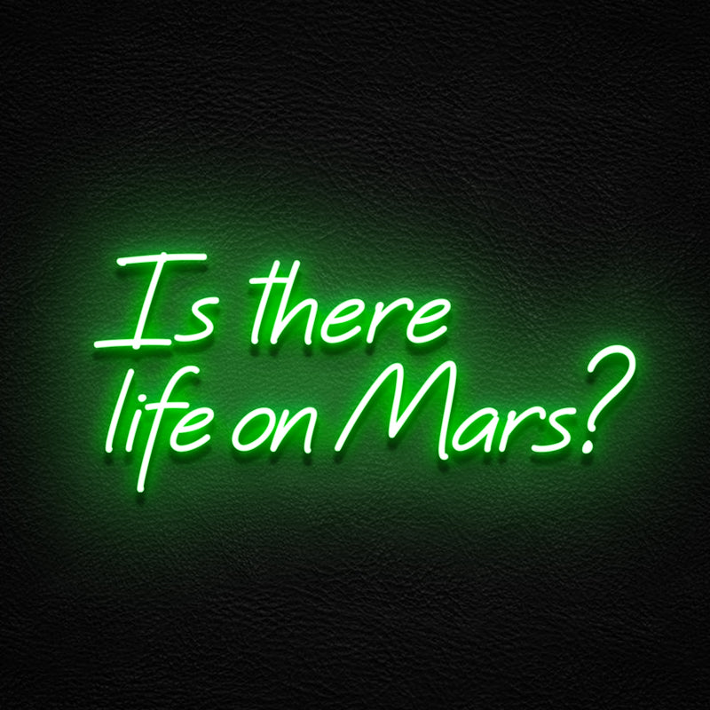 Is There Life On Mars?